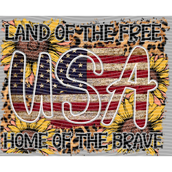 USA-MG 3191